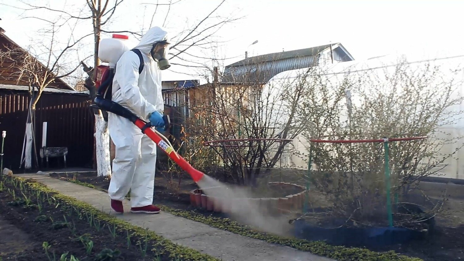 ФОТО Уничтожение муравьёв в рабочем поселке Московской области Красково