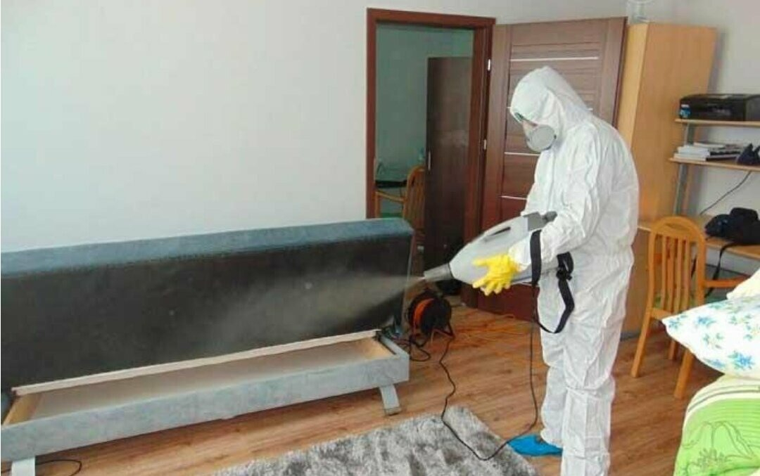 ФОТО Уничтожение блох в рабочем поселке Московской области Красково