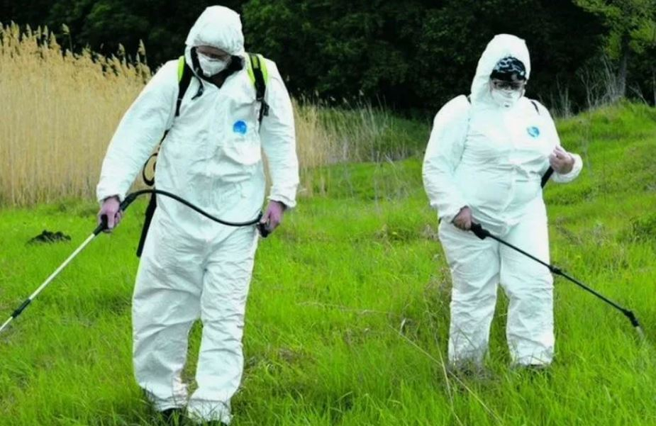 ФОТО Обработка от клещей в рабочем поселке Московской области Красково