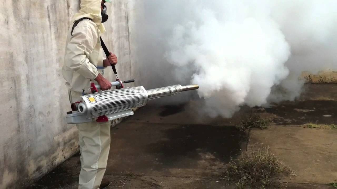 ФОТО Уничтожение мух в рабочем поселке Московской области Красково