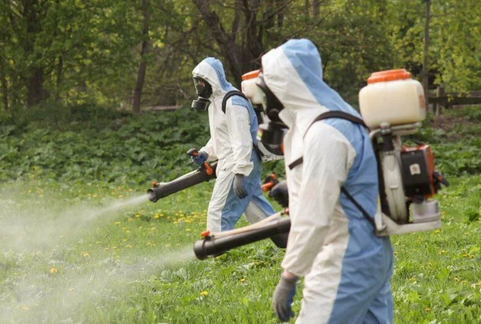 ФОТО Что такое дезинсекция в рабочем поселке Московской области Красково? | подробно