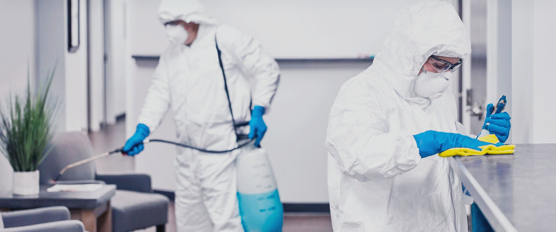 ФОТО В чем разница между дезинфекцией и дезинсекцией в рабочем поселке Московской области Красково? | подробно