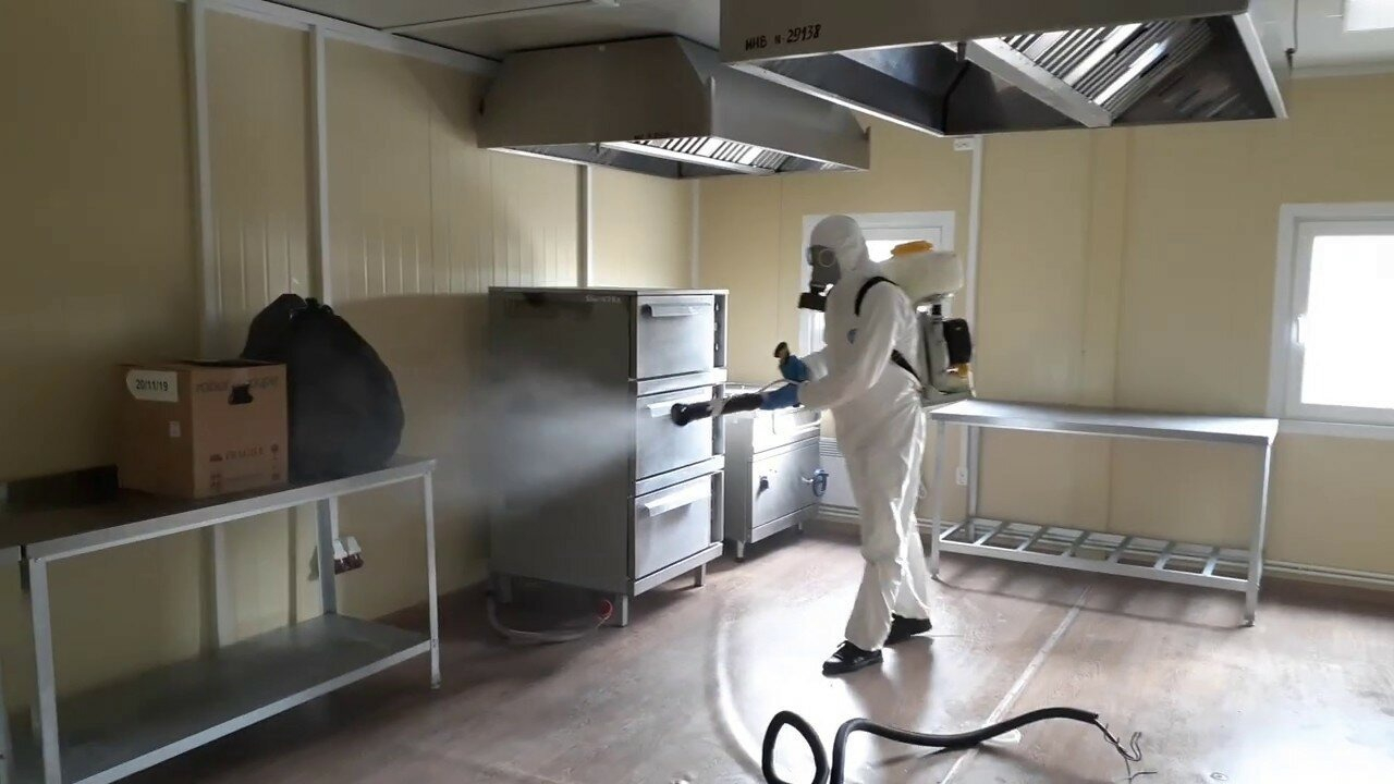 ФОТО Можно ли провести дезинсекцию самостоятельно и какие существуют риски в рабочем поселке Московской области Красково? | подробно