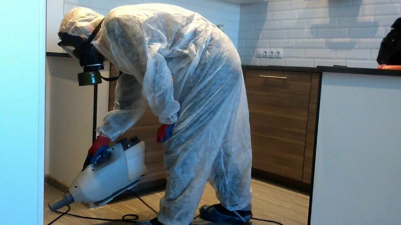 ФОТО Как подготовить домашних животных к обработке от насекомых в рабочем поселке Московской области Красково? | подробно