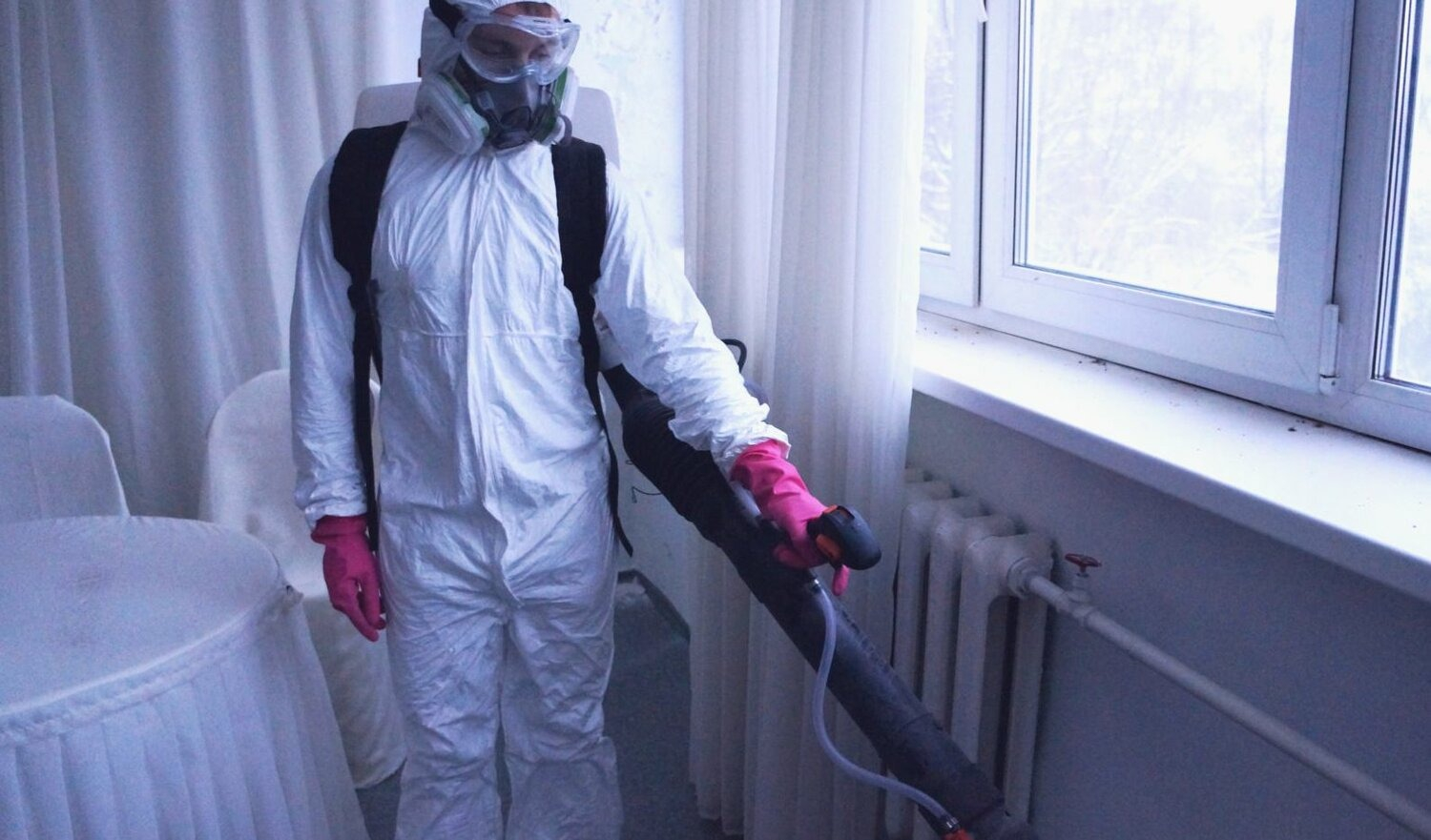 ФОТО Нужно ли выносить растения при дезинсекции в рабочем поселке Московской области Красково? | подробно