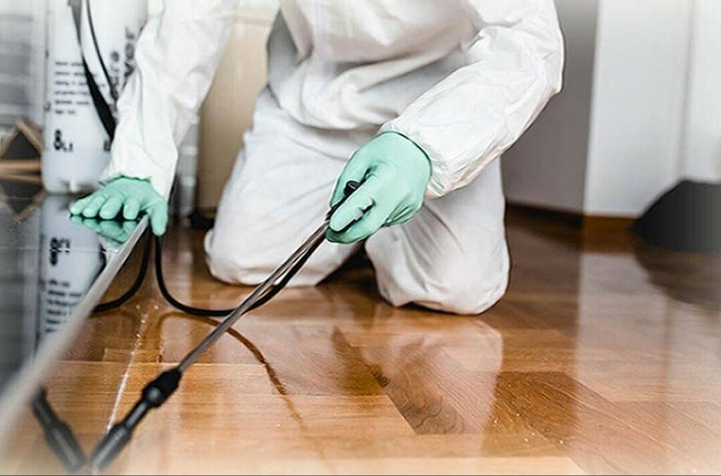 ФОТО Как подготовить вентиляцию при предстоящей дезинсекции в рабочем поселке Московской области Красково?