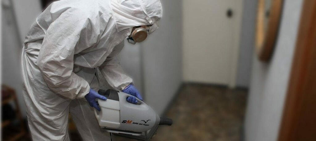 ФОТО Остаются ли следы после обработки квартиры от насекомых в рабочем поселке Московской области Красково? | подробно