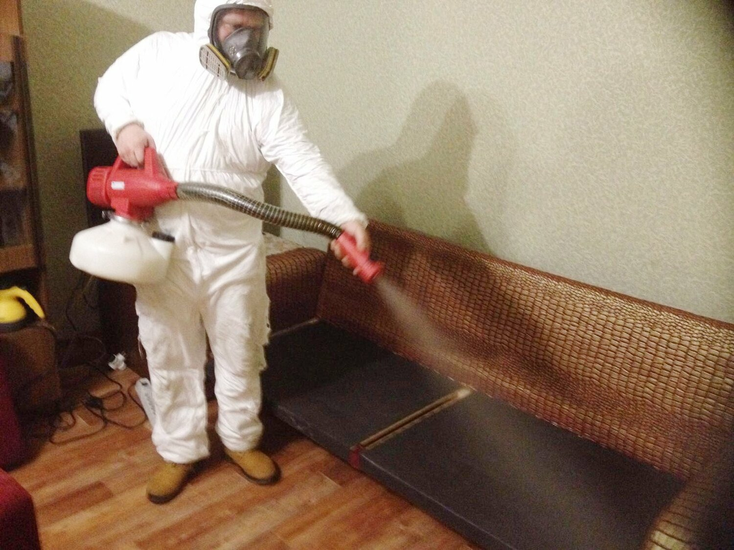 ФОТО Когда можно вернуться в помещение после дезинсекции в рабочем поселке Московской области Красково? | подробно