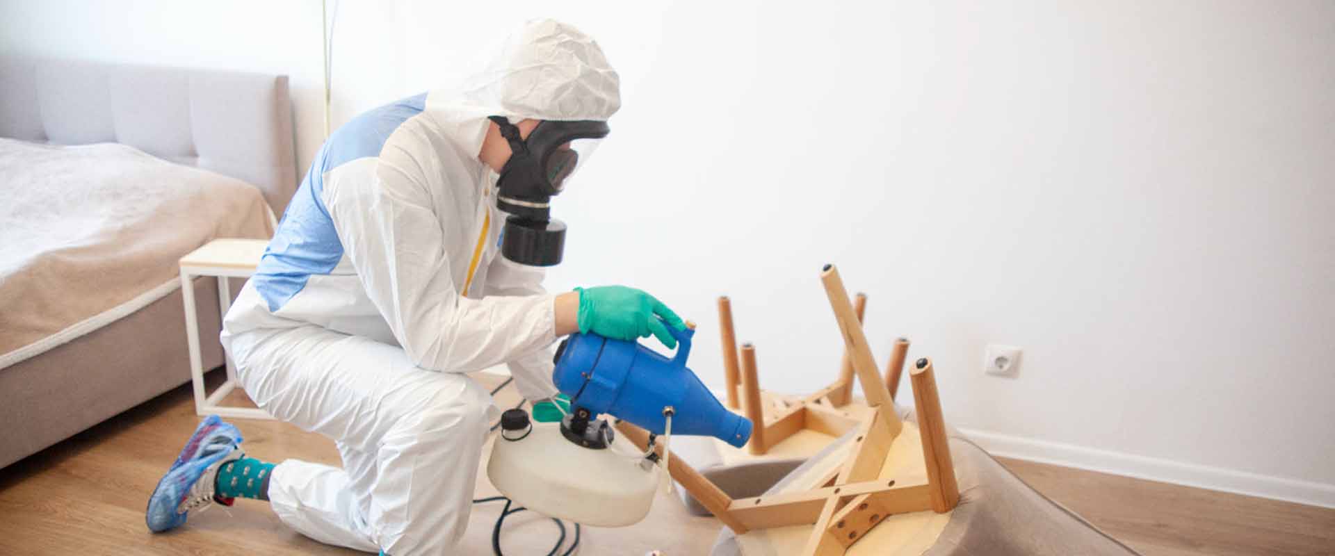 фото: Уничтожение постельных клопов с 1-го раза с гарантией за 30-60 мин. в рабочем поселке Московской области Красково без предоплаты