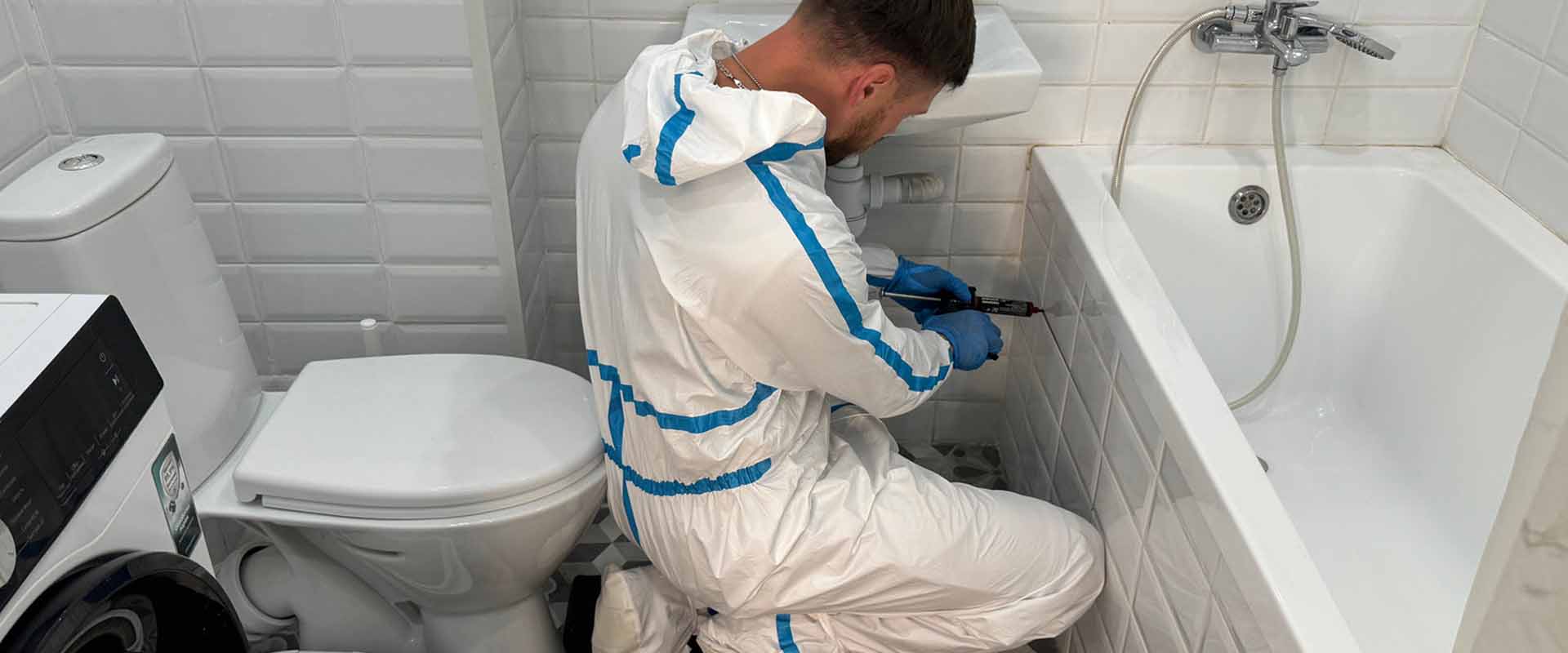 фото: Уничтожение тараканов навсегда с 1-го раза с гарантией за 30-60 мин. в рабочем поселке Московской области Красково