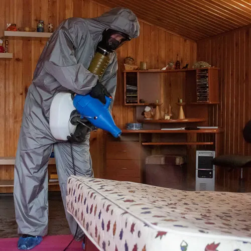 фото: очистка от ртути